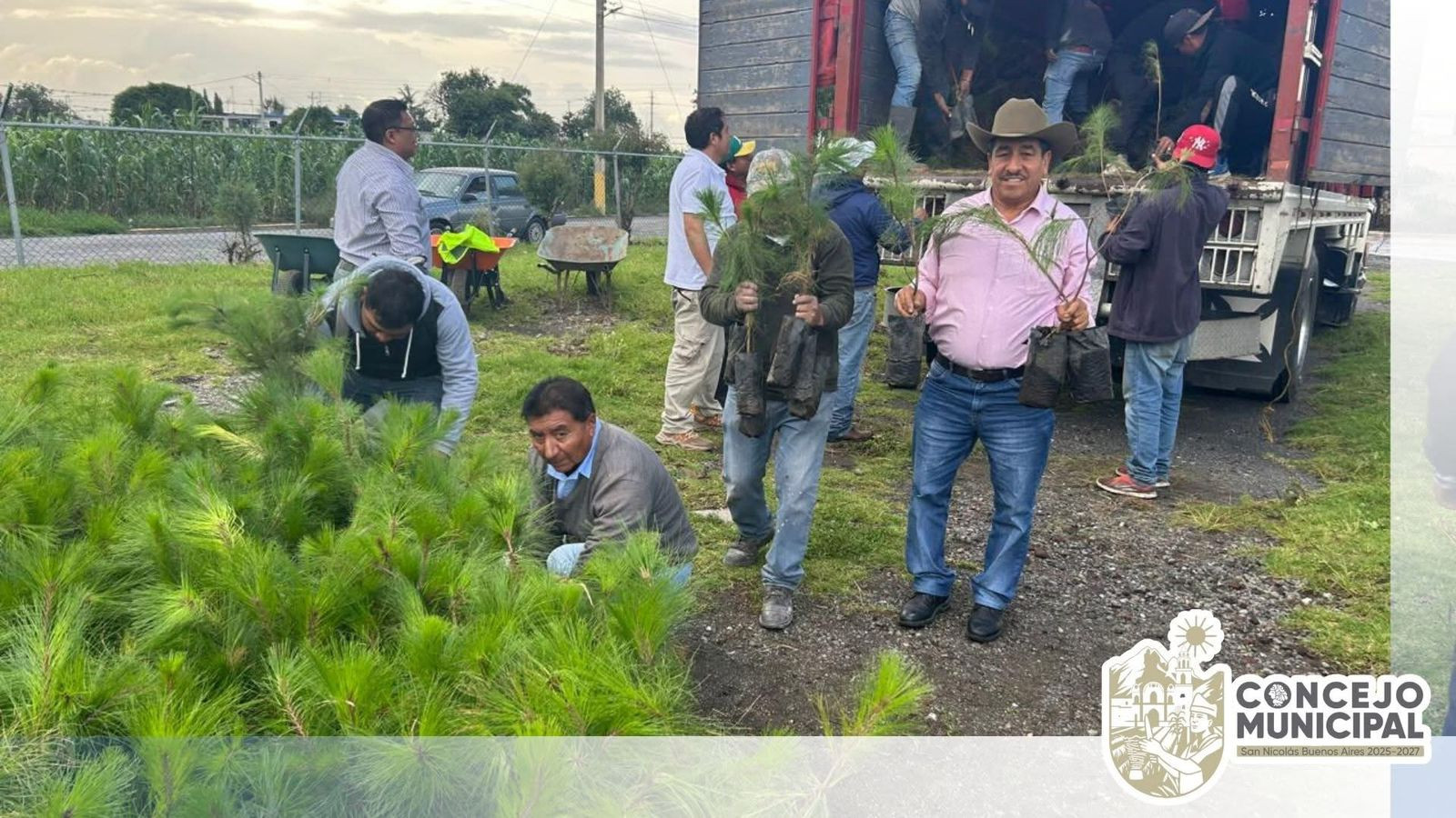 hemos logrado obtener árboles para reforestar diversas zonas de nuestro municipio.